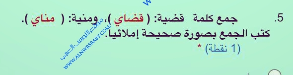 جمع كلمة قضية قضاي ومنية مناي كتب الجمع بصورة صحيحة صواب خطأ