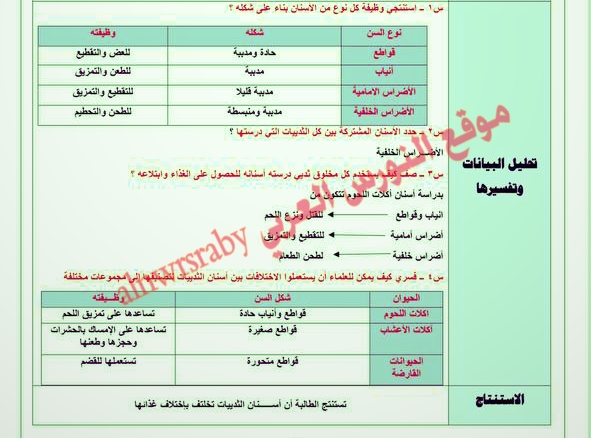 تقرير تجربة المقارنة بين أسنان الثدييات   ا/3تقرير تجربة المقارنة بين أسنان الثديات