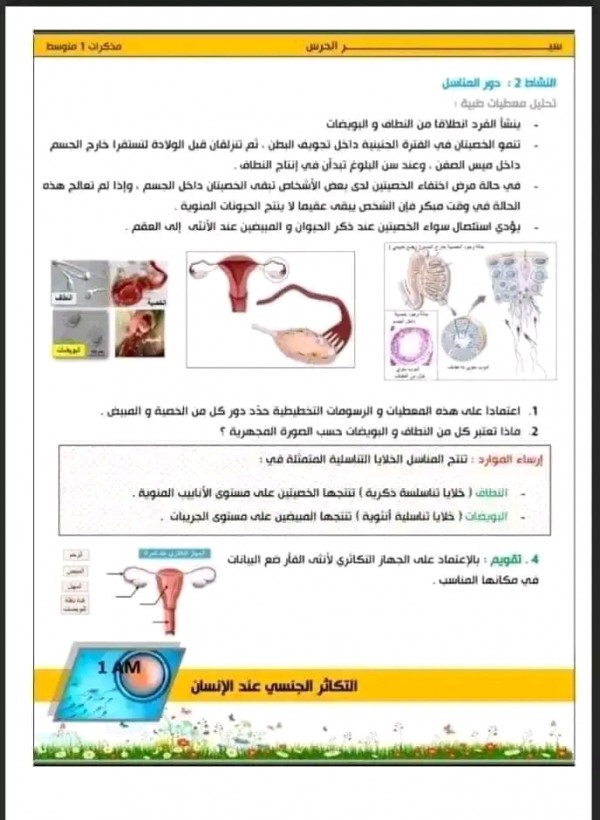 مراجعة شاملة في مادة العلوم الطبيعية السنة الأولى 1متوسط الفصل الثالث ملخص دروس المقطع 4 التكاثر الجنسي عند الانسان pdf