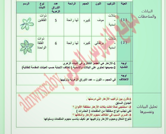 تقرير تجربة المقارنة بين تراكيب الأزهار