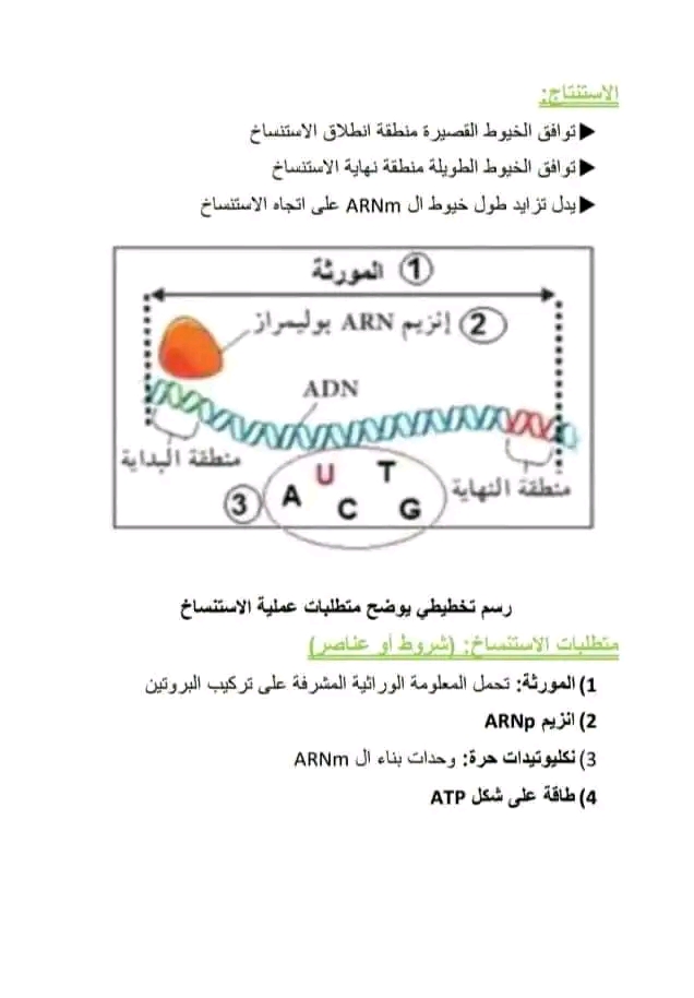 تحضير درس الاستنساخ سنة ثالثة ثانوي علوم تحريبية مفهوم الاستنساخ متطلبات النسخ