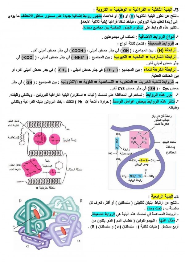 ملخص دروس الوحدة 2 الثانية علوم طبيعية : العلاقة بين بنية و وظيفة البروتين bac 2024 مستويات البنية الفراغية للبروتينات