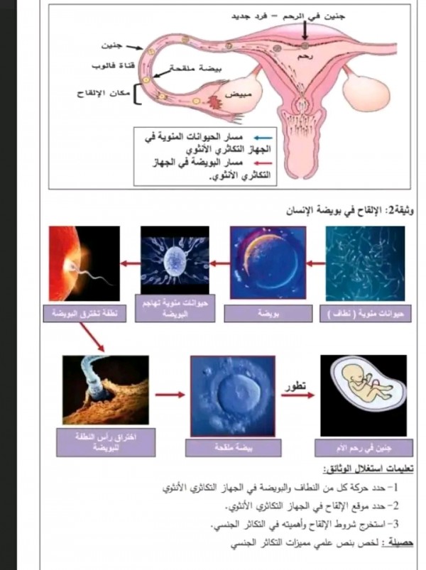 ملخص درس الالقاح عند الضفادع سنة أولى 1 متوسط علوم طبيعية تحضير درس الالقاح عند الضفادع