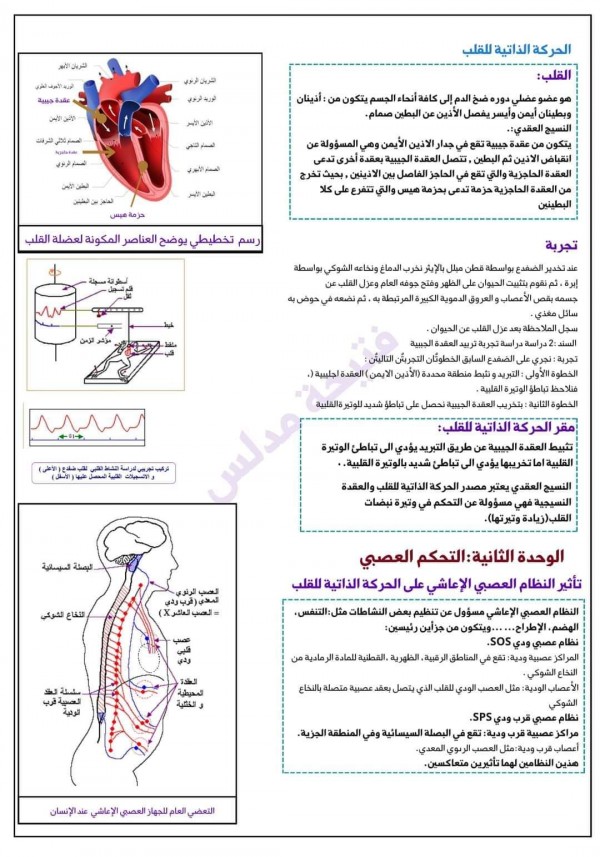 ملخص المجال 04 وحدة العضوية استجابة العضوية للجهد العضلي + التحكم العصبي سنة أولى ثانوي 1 باك   ملخص العلوم الطبيعية أولى ثانوي شعبة علوم الفصل الثالث الحركة الذاتية للقلب