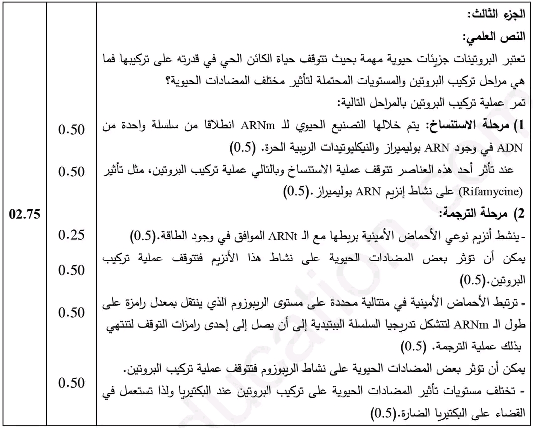 ملخص نص علمي حول تأثير المضادات الحيوية والمثبطات على تركيب البروتين عند البكتيريا