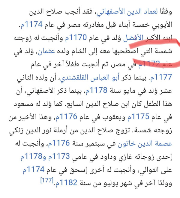 من هي شمسة زوجة صلاح الدين الأيوبي تاريخيا. شمسة اسمها الحقيقي