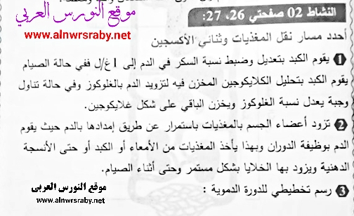 حل نشاط 2 ص 26 و 27 علوم طبيعية 4 متوسط جيل ثاني التغذية عن الإنسان