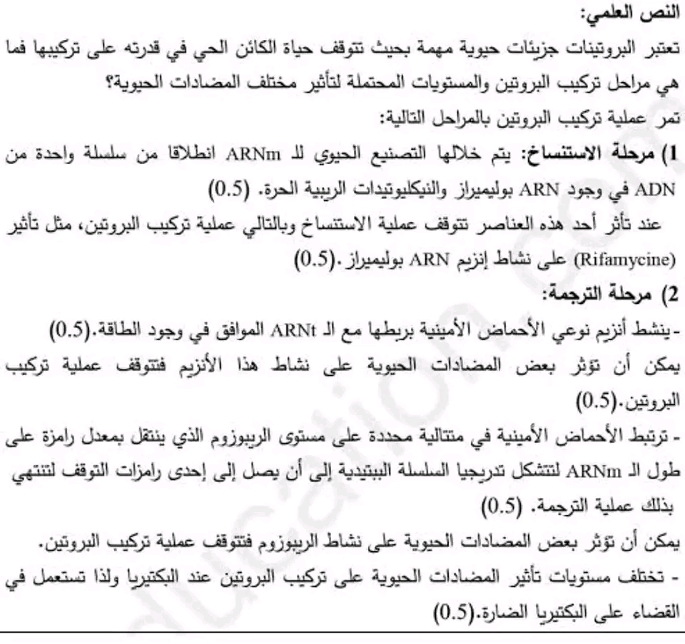 نص علمي حول تأثير المضادات الحيوية والمثبطات على تركيب البروتين عند البكتيريا