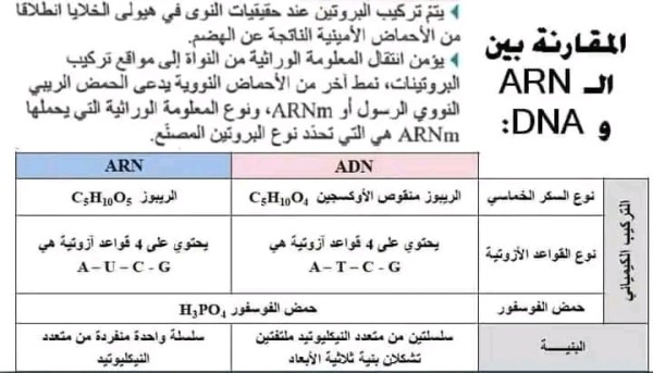 الفرق بين ADN و ARN. مقارنة بين ADN و ARN