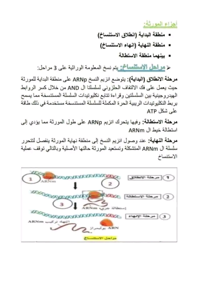 تحضير درس الاستنساخ سنة ثالثة ثانوي علوم تحريبية مفهوم الاستنساخ أجزاء المورثة