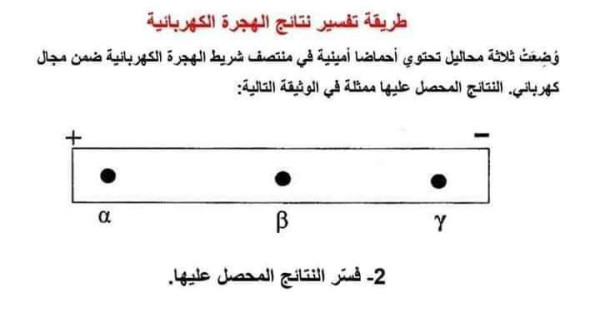 طريقة تفسير نتائج الهجرة الكهربائية وضعت ثلاثة محاليل تحتوي احماض امينية في منتصف شريط الهجرة الكهربائية ضمن مجال كهربائي النتائج المحصل عليها ممثلة الوثيقةَ التالية فسر النتائج المحصل عليها