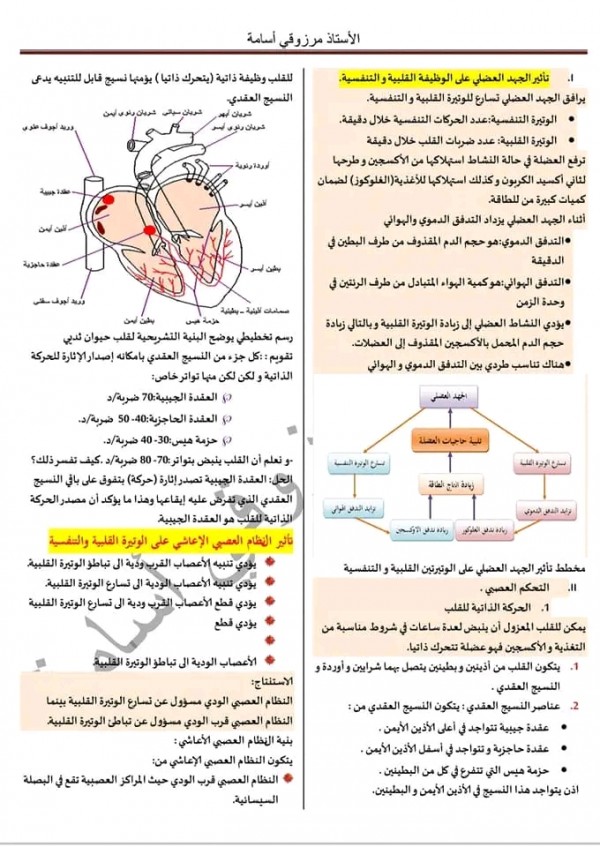 اليكم نموذج ملخص مرفق بتمارينات لمقطع الذي يخص :تأثير الجهد على الوتيرة القلبية، الحركة الذاتية للقلب، الجهاز الاعاشي ،بنية العصب     ✓ للقلب وظيفة ذاتية يؤمنها نسيج قابل للتنبيه يدعى النسيج العقدي المتواجد على ثلاثة مستويات: أعلى الأذين الأيمن (العقدة الجيبية)، أسفل الأذين الأيمن (العقدة الحاجزية) و على مستوى البطينين (حزمة هيس).   ✓ تكون الوتيرة القلبية للقلب الوظيفي محصورة بين 75 – 70 دقة /الدقيقة، بينما تصل إلى حدود 100 و 110 دقة /الدقيقة في القلب المعزول،   و هذا دليل على أن الوتيرة القلبية تكون تحت تحكم جهاز معين.   ✓ ينظم الجهاز العصبي الإعاشي الوتيرة القلبية، و يتكون هذا النظام من:   ♦️النظام العصبي قرب الودي حيث المراكز العصبية تقع في البصلة السيسائية.  ♦️ النظام العصبي الودي حيث المراكز العصبية تقع في المناطق الرقبية و الظهرية و القطنية للمادة الرمادية من النخاع الشوكي.  • تتكون الطرق الودية من الأعصاب الودية.  • تتكون الطرق العصبية قرب الودية أساسا من الأعصاب الرئوية المعدية.   ✓ تنتقل الرسالة العصبية عبر الأعصاب القلبية إنطلاقا من مراكز تنظيم القلب في البصلة السيسائية.   ✓ يتحكم المركز التنفسي للنظام العصبي الإعاشي للبصلة السيسائية في النشاط الإيقاعي للعضلات التنفسية.