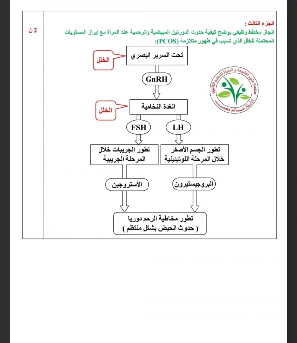 نموذج اختبار  ملخص مرفق بتمارينات لمقطع الذي يخص :تأثير الجهد على الوتيرة القلبية، الحركة الذاتية للقلب، الجهاز الاعاشي ،بنية العصب علوم طبيعية أولى ثانوي