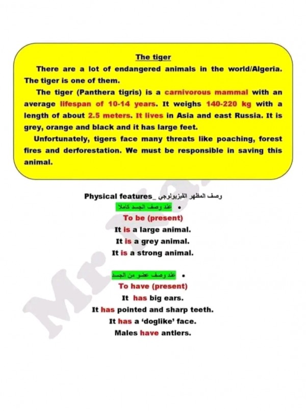 وضعيات إدماجية للفصل الثالث في مادة اللغة الإنجليزية ثالثة متوسط تعبير عن النمر. حماية البيئة. حماية الحيوانات والنباتات بالانجليزية