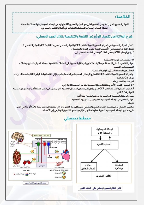 شرح آلية تزامن تكيف الوتيرتين القلبية والتنفسية خلال الجهد العضلي ملخص المجال 04 وحدة العضوية استجابة العضوية للجهد العضلي + التحكم العصبي سنة أولى ثانوي 1 باك   ملخص العلوم الطبيعية أولى ثانوي شعبة علوم الفصل الثالث