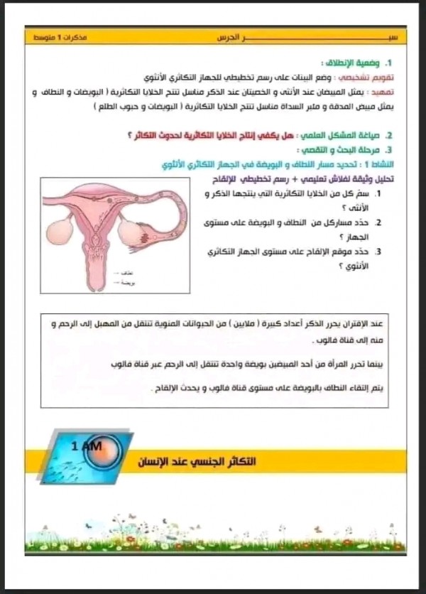 مراجعة شاملة في مادة العلوم الطبيعية السنة الأولى 1متوسط الفصل الثالث ملخص دروس المقطع 4 التكاثر الجنسي عند الانسان pdf